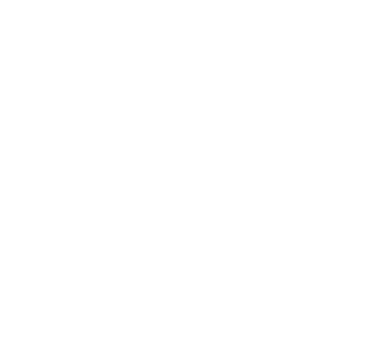 National Festival